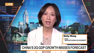 Making Sense of China’s Economy
