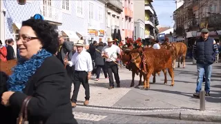 "Bois de Páscoa"  tradição Poveira PÓVOA DE VARZIM