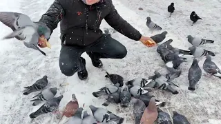 Feeding the birds. I like it. / 새들에게 먹이를 주는 것. 좋아요