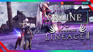 Суббота, ХБ, стрим, АССАСИН assassin lineage 2 essence л2