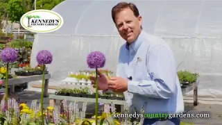 Kennedy's Country Gardens: Introduction