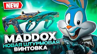 MADDOX НЕ ОПРАВДАЛ ОЖИДАНИЙ В CALL OF DUTY MOBILE? | tiny toon codm