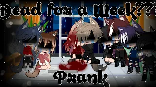 DEAD FOR A WEEK PRANK..? The most epic fail (Different content) | Audrey Cookie |