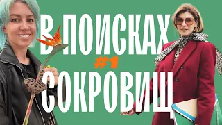 В поисках сокровищ #1