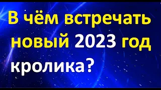 В чем встречать Новый 2023 год Кролика? | Новогодние приметы Серебряное пламя