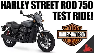 Harley-Davidson Street Rod 750 Test Ride! (2017)