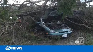 Deadly Level 3 storm topples trees, leaves thousands in dark across Bay Area