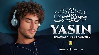 Viral Surah Yasin (Yaseen) سورة يس | Calming Relaxing Soft Voice | Zikrullah TV