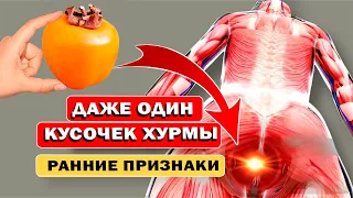 Вот Что ТВОРИТ ХУРМА с организмом. ПОЧЕМУ все Об ЭТом МОЛЧАТ!