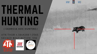 Thermal Hunting with ATN Thor 4 JF Ep.63