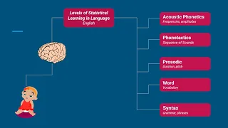 Statistical Learning in Bilingual Language Development