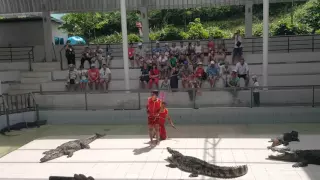 Жесть, крокодил чуть не откусил руку у тайца