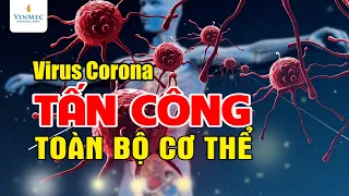 Cách virus corona tấn công toàn  bộ cơ thể