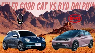 Euler Good Cat vs BYD Dolphin - Interior, Exterior, Driving Electric Subcompact Cars 2022