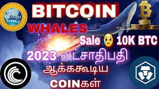 BITCOIN TODAY NEWS TAMIL🔥CRO COIN PUMP SOON🚀FREE COIN ₹1🥳BTT COIN BIG PUMP ₹1 Soon🌹M A BTC TAMIL🤝