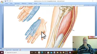 Musculo-skeletal Module I in Arabic 31 ( Ulnar nerve  ) , by Dr. Wahdan 2022