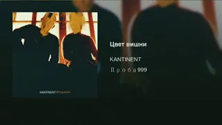 KANTINENT - Цвет вишни(Блатная)