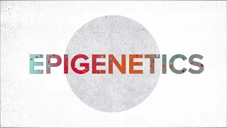 Epigenetics Explained | Penn Medicine