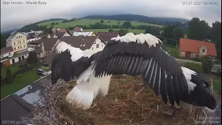 Bonifácku, pro tebe.