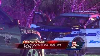 Body found in East Boston marsh