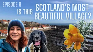 Is This Scotland's Most Beautiful Village? Pittenweem & Anstruther + Painting Gorse Flowers