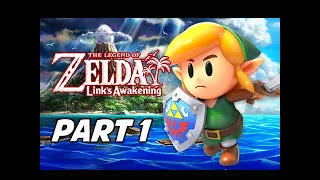 The Legend of Zelda Link's Awakening Walkthrough Gameplay Part 1 - Full Game Intro (Nintendo Switch)