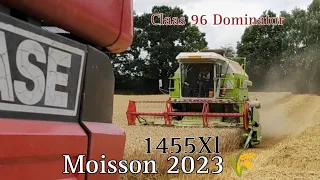 Moisson 2023 🌾 Avec une 96 Dominator et un 1455XL