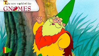 The New World of the Gnomes - 13 - Paladin, Aqua Knight | Full episode |