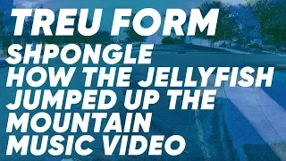 Shpongle- How the Jelly Fish Jumped up the Mountain MUSIC VIDEO