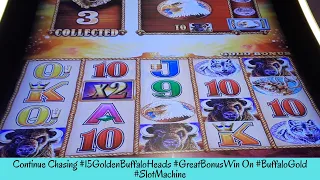 Continue Chasing 15 Golden Buffalo Heads GREAT BONUS WIN On BUFFALO GOLD Slot - SunFlower Slots