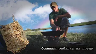 Рыбалка осенью 2021 на красивом водоеме | водоём в Кущевской | HD