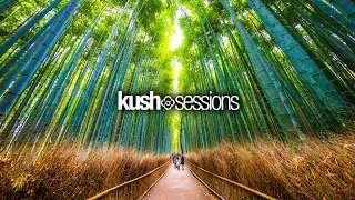 #234 KushSessions (Liquid Drum & Bass Mix)