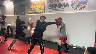 All Level Sparring