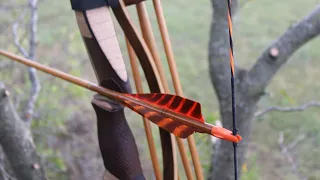 Hunting Whitetail deer with longbow, Heartshot!