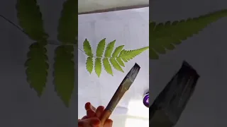 bottle art|simple bottle painting|leaf bottle art