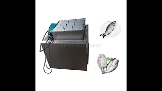 Video of Automatic Fish Cleaning Machine