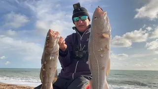Sensational Chesil Cod Session! Amazing Sport After The Storm! Sea Fishing Chesil Beach Sept 2023.