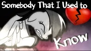 [PMV] "Somepony That I Used To Know"