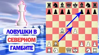 ЭТИ ЛОВУШКИ В СЕВЕРНОМ ГАМБИТЕ ПОМОГУТ ТЕБЕ ВЫИГРАТЬ ПАРТИЮ!