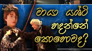 Wands ගැන දැනගමු | Everything about wands | Sinhala | Harry Potter