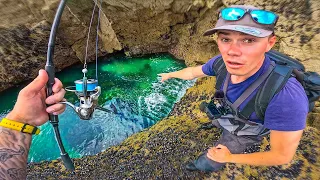 Ce trou ÉTRANGE cache des BELLES SURPRISES (pêche aux leurres du bord en mer) Feat @bardecume