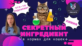 ЧТО ДОБАВЛЯЮТ В КОШАЧИЙ КОРМ для привыкания | Секретный ингредиент | Почему кошка не ест новый корм