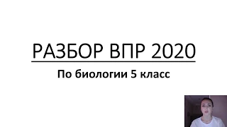 РАЗБОР ДЕМО ВЕРСИИ ВПР 5 класс 2020