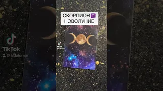 Скорпион ♏️ НОВОЛУНИЕ