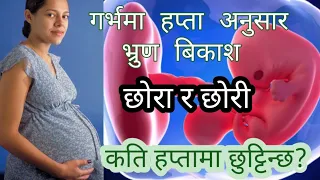 गर्भ भित्र यसरी हुन्छ मानब को बिकाश, Baby process from 0 - 9 months.Full version in Nepali