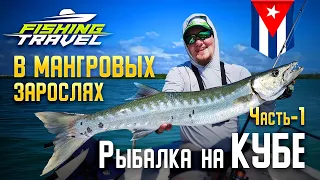 Рыбалка в мангровых зарослях! Как и кого можно поймать на Кубе? Часть 1 /Fishing Travel/Артем Мишин/