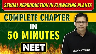 Sexual Reproduction in Flowering Plants in 50 Minutes || Complete Chapter for NEET