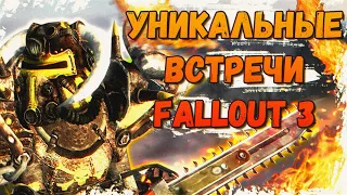 РЕДКИЕ И СЛУЧАЙНЫЕ ВСТРЕЧИ В FALLOUT 3