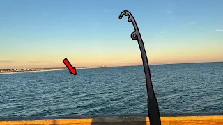 Casting a Spoon on The Navarre Beach Fishing Pier when THIS HAPPENED!