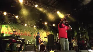 Barrington Levy - Live@Reggaejam 2013 - too experienced -